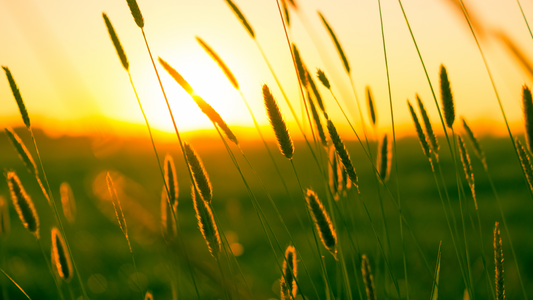 Sommer, Sonne, Seelenfrieden: Die Top Wellness-Trends für Juni und den Rest des Sommers 2025