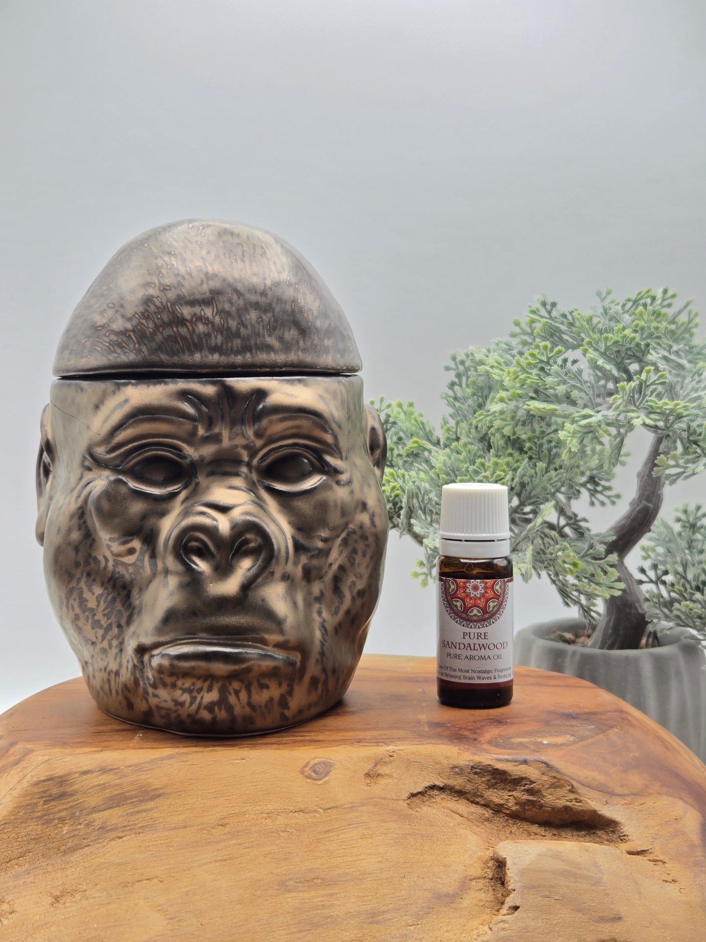 Scentchips Duftlampe Gorilla Bronze matt 15,5x12 cm