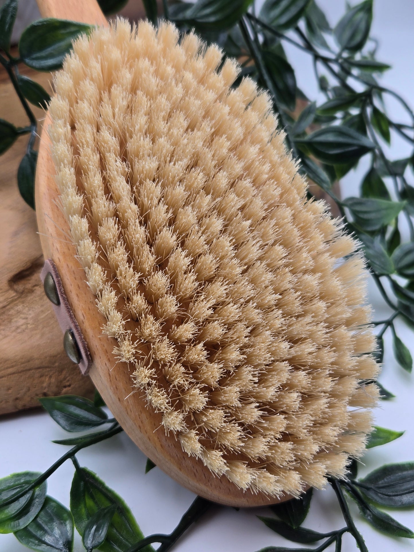 Croll & Denecke Badebürste Luxus Spa aus Buchenholz mit Naturborsten
